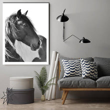 Horse Portrait Face Black&White Stretched Canvas Print Framed Wall Art Home
