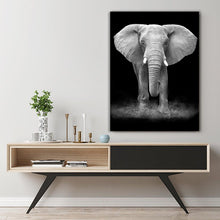 Black White Elephant Stretched Canvas Prints Wall Art Decor Framed Black&White
