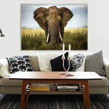 Elephant Stretched Canvas Prints Wall Art Decor Framed wildlife Photo