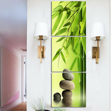 3pcs Framed Bamboo Green Nature Art Oil Canvas Print massage shop Wall Decor