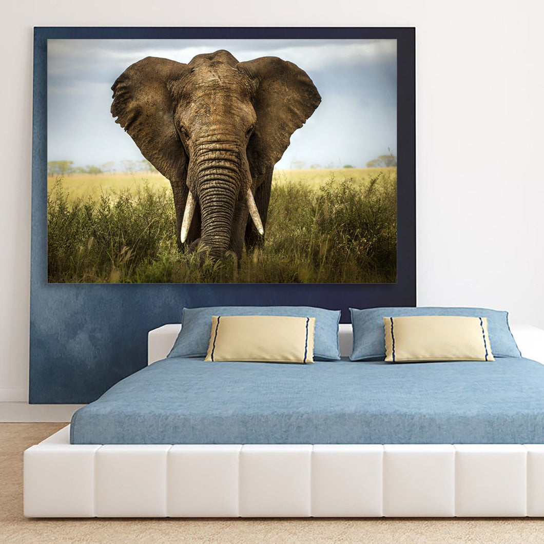 Elephant Stretched Canvas Prints Wall Art Decor Framed wildlife Photo