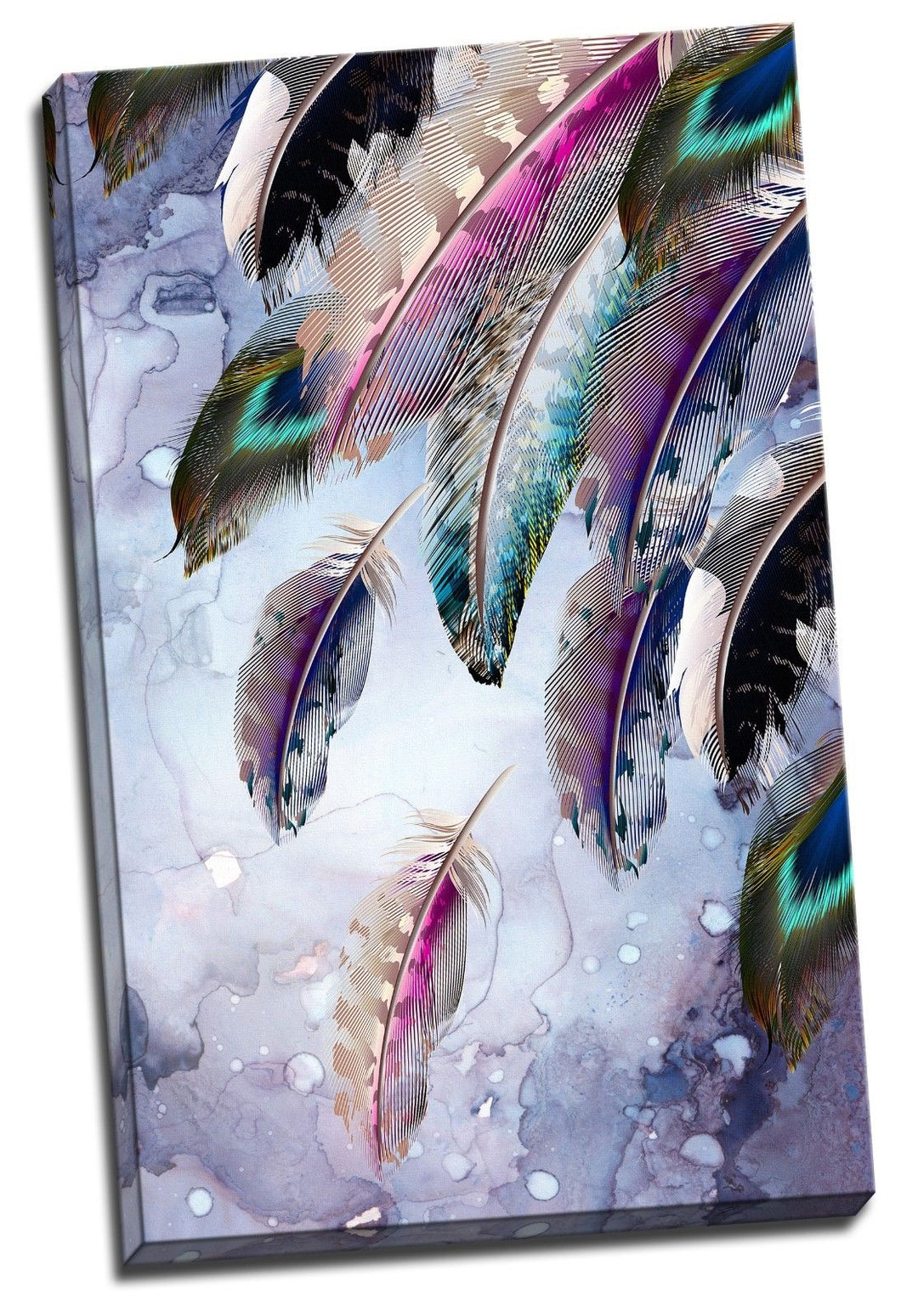Colourful Peacock Feather Framed Canvas Print Abstract Living Room Wall