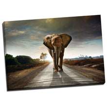 Elephant Shadow Stretched Canvas Prints Wall Art Decor Framed Wildlife Photo